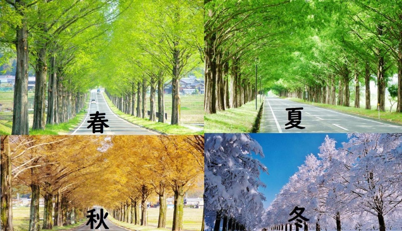 Roten Jacuzzi ・Morinoie In Metasequoia Namiki / Vacation Stay 3022 Takashima Exterior photo